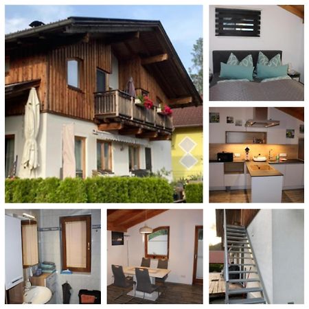 גריפנבורג Ferienwohnung Waldheim מראה חיצוני תמונה